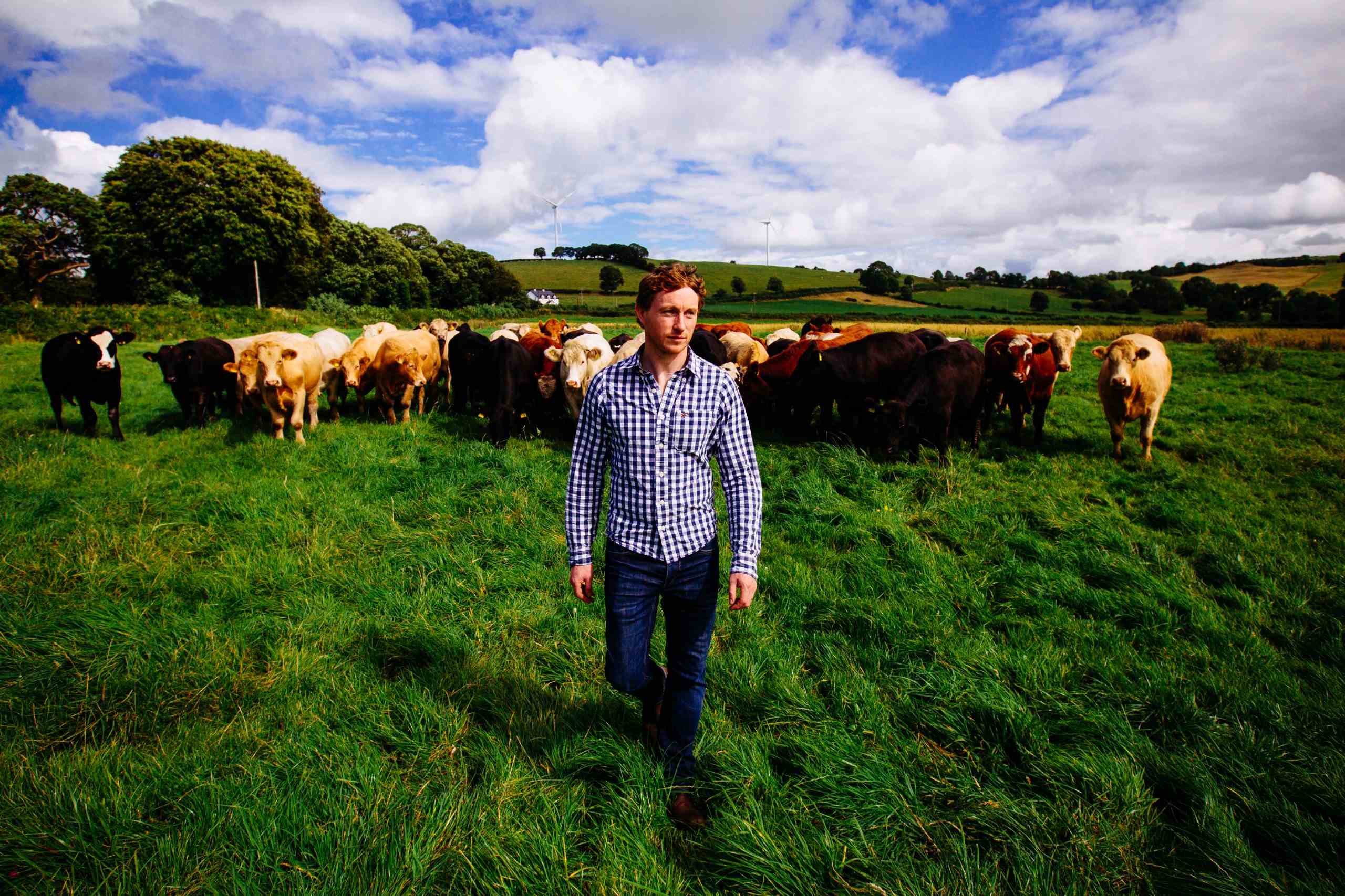 Farmer walking through his organic beef farm